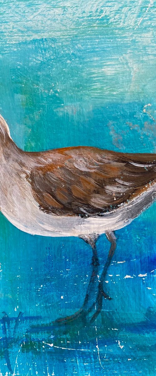Wading Birds Series 2 by Teresa Tanner