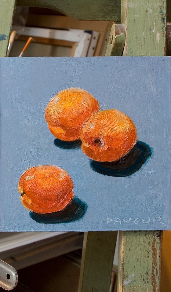 gift for food lovers: modern still life of apricots on blue background