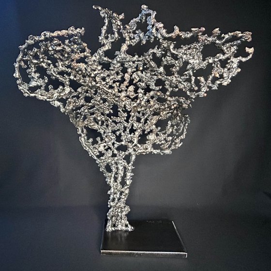 Belisama Sacred Andalusian