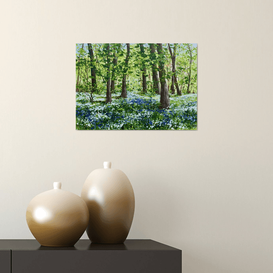 Wild Garlic and Bluebell Woods