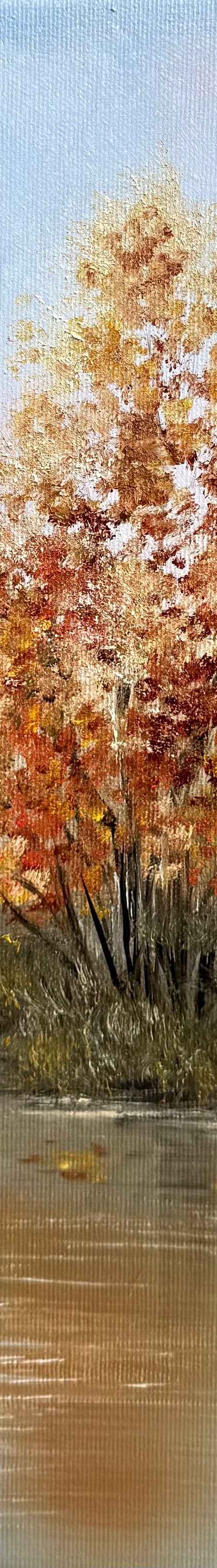Reflections of autumn by Tanja Frost