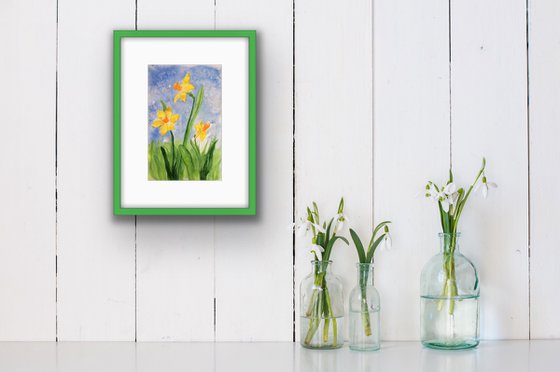 Yellow narcissus on a blue sky background