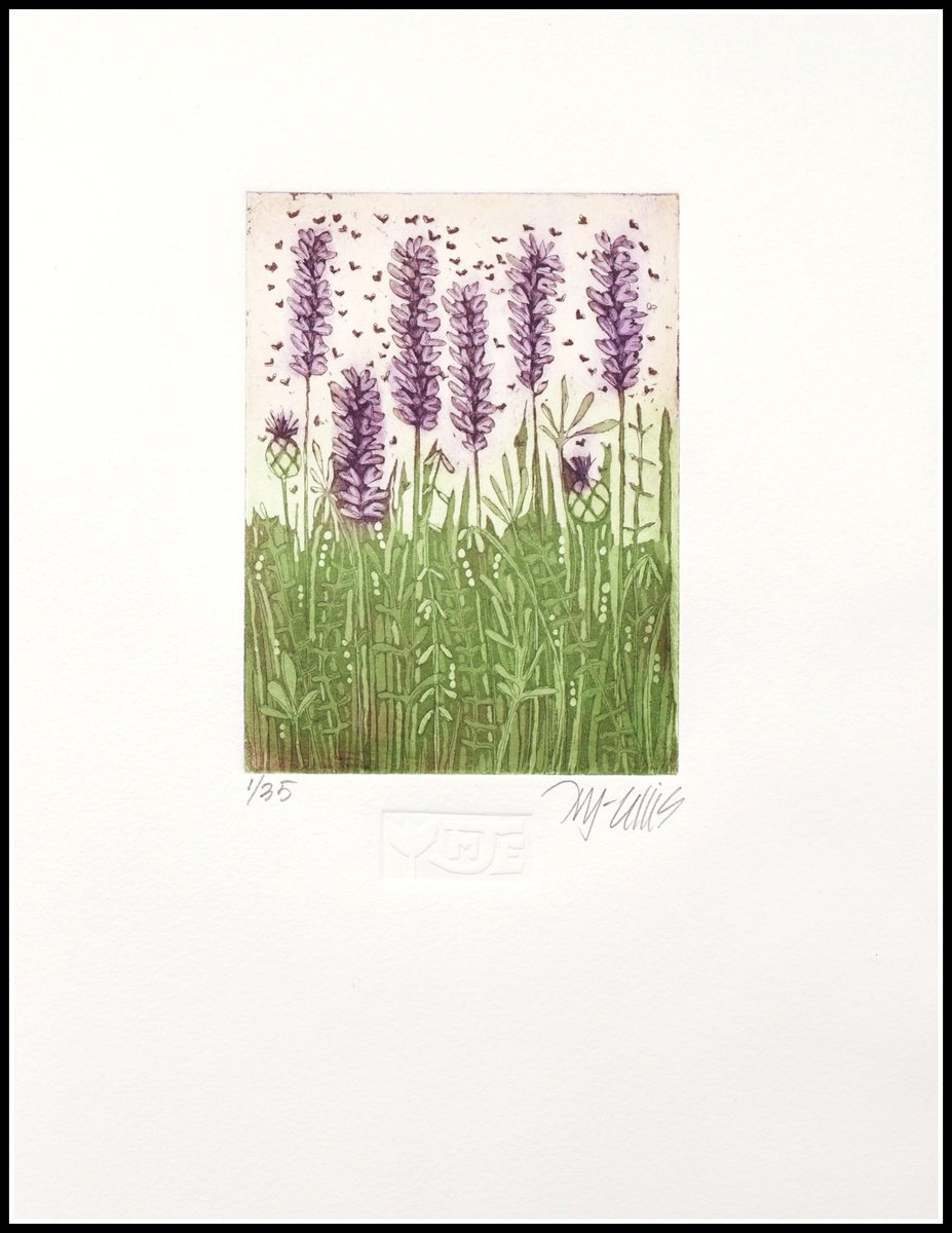 Illustrative Botanical Etchings & Engravings By Mariann Johansen-Ellis, 10 X 14", Lavender, Original Artwork