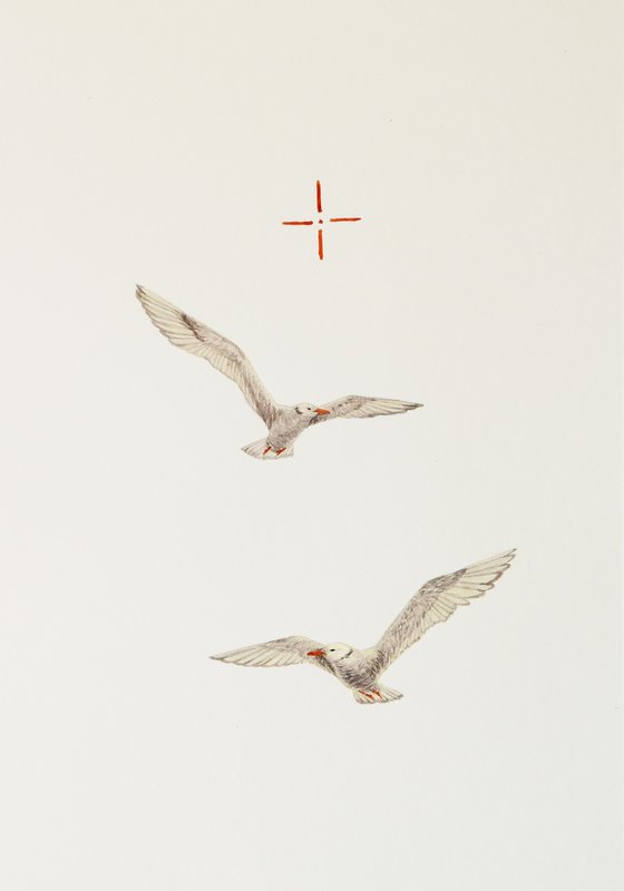 Two gulls and the weapon sight sketch (4/5)