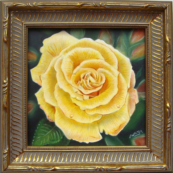 Rose in the Garden
