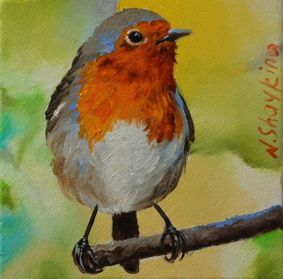 Robin