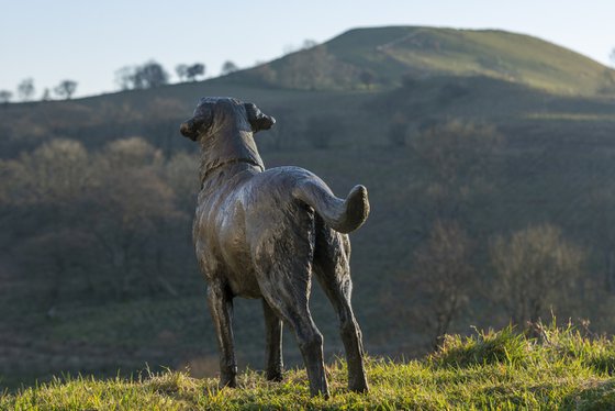 "Leo" Labrador Bronze Resin