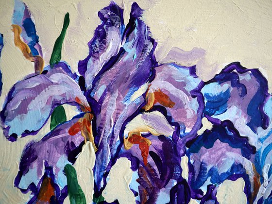 Irises on Cream