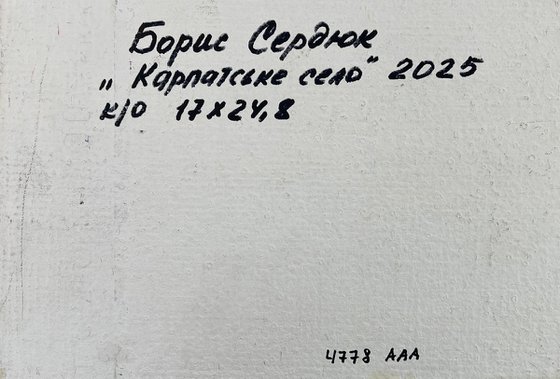 Where the Forest Touches the Mountains