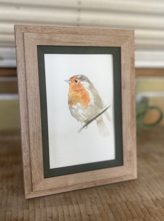 Little Robin Redbreast