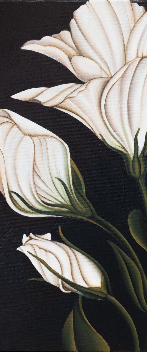White Lisianthus by Dom Holmes