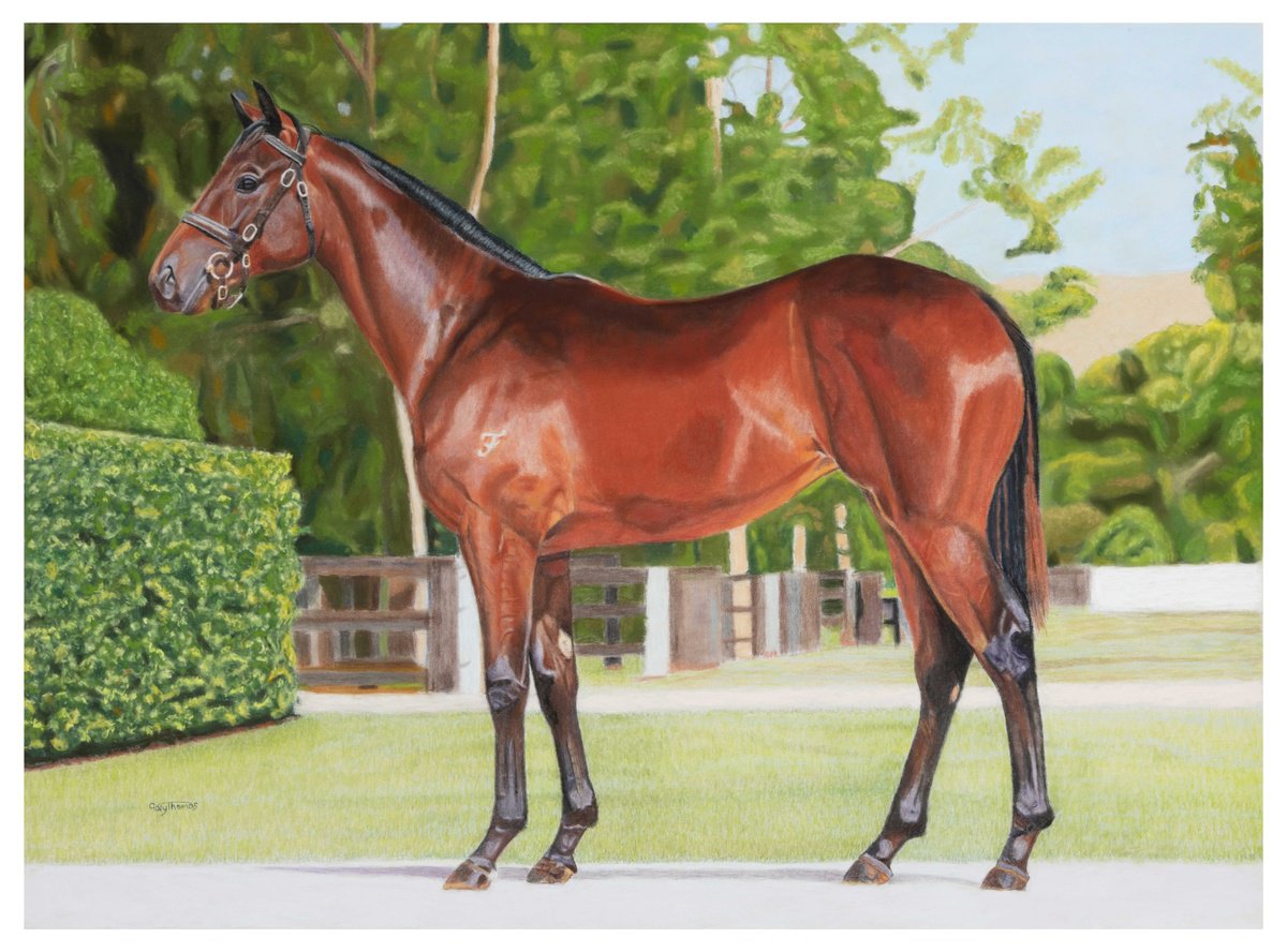 Photorealistic Animal Pastel Drawing By Gary Thomas, 28 X 20, Medium Size Pastel Pet Portrait Commission, Original Artwork