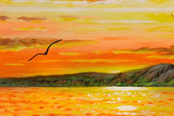 seabirds at sunset