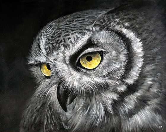 White Faced Owl  (Original Pastel Painting) 14" x 11"