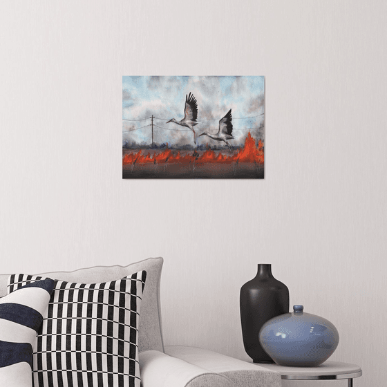 Storks Over Mykolaiv Region