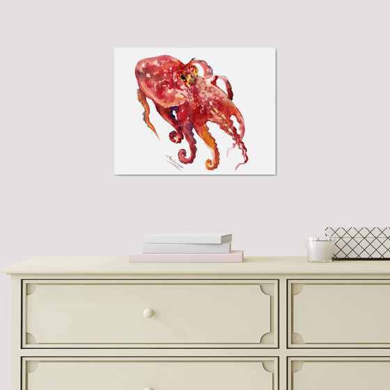 Octopus