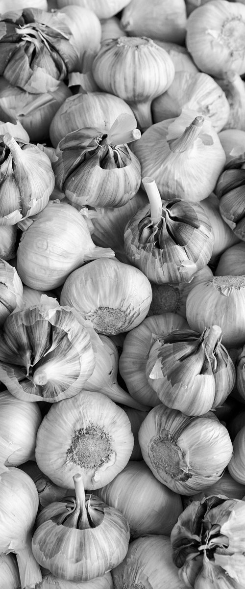 Garlic Bulbs by Stephen Hodgetts Photography