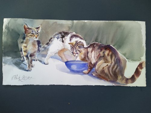 City cats. Charity by Irina Bibik-Chkolian