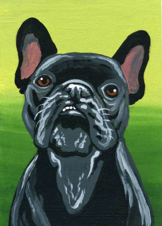 ACEO ATC Original Miniature Painting  French Bulldog Pet Dog Art-Carla Smale