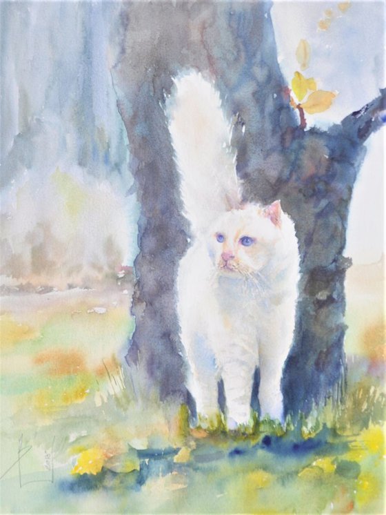 WHITE CAT 2018.056  original watercolour 46x32