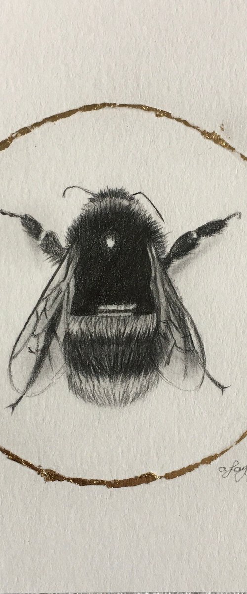 Bumblebee by Amelia Taylor