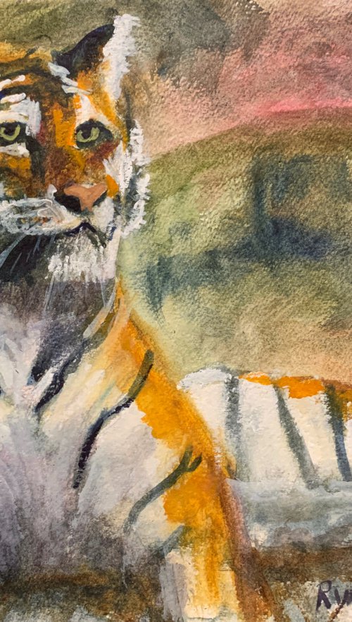 Sitting Tiger by Ryan  Louder