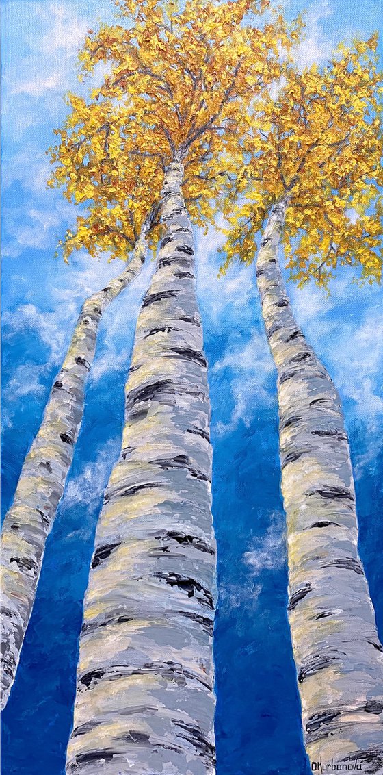 Yellow birches in the clouds