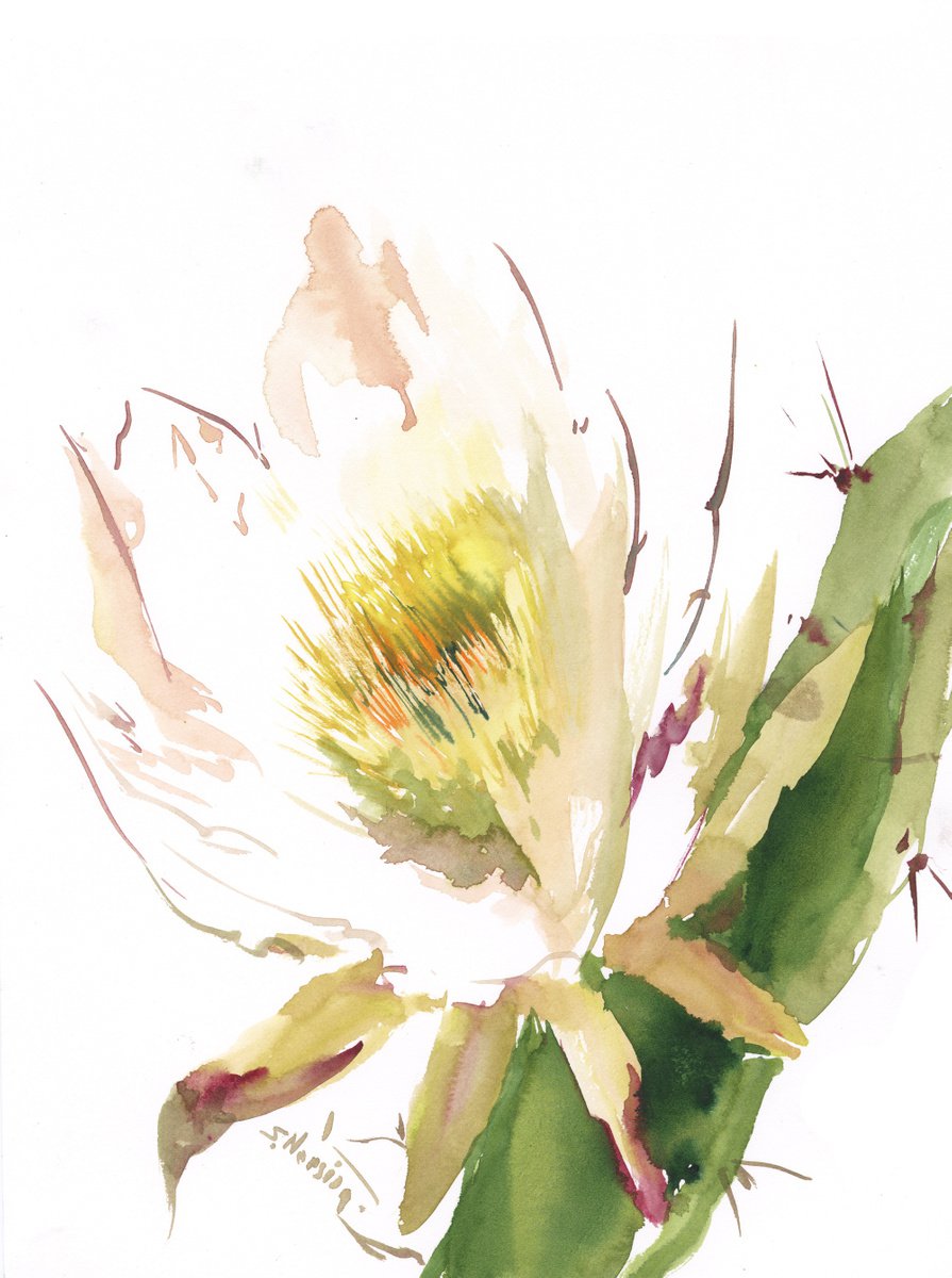 Cactus flowers by Suren Nersisyan