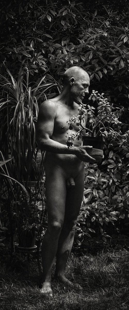 Male Nude with Plant by Peter Zelei