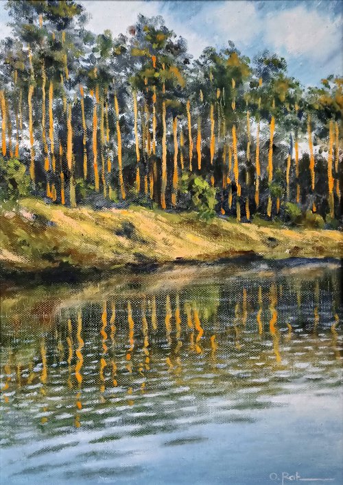 Pine trees by the river 2 by Oleh Rak