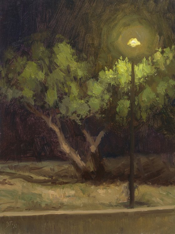 Night in the park