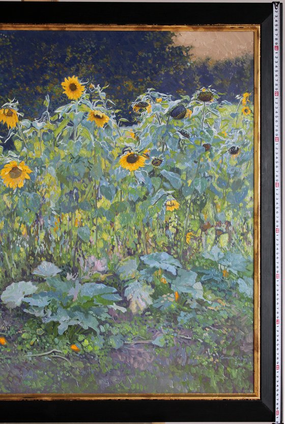 Sunflowers in Kolomenskoye