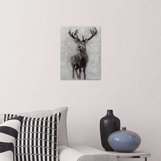 Stag at Winter