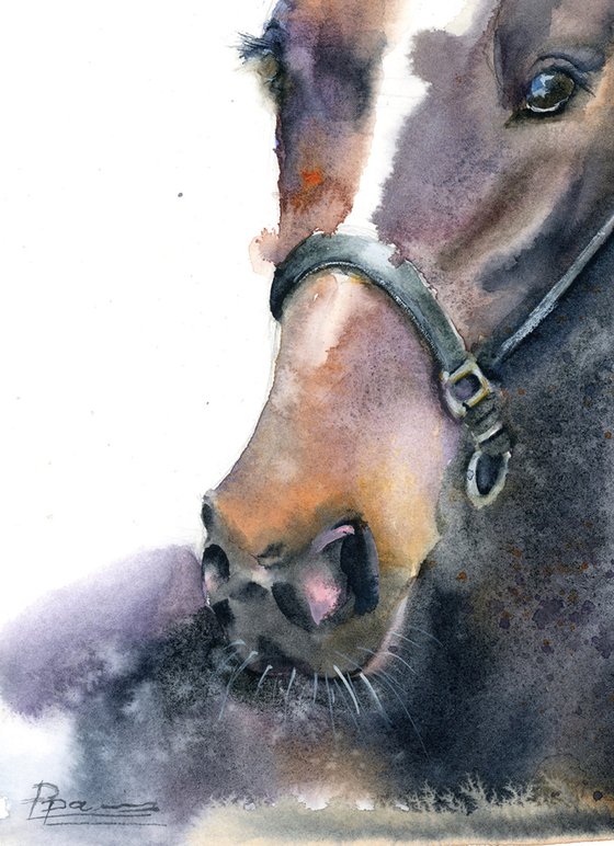 Horse portrait (2)