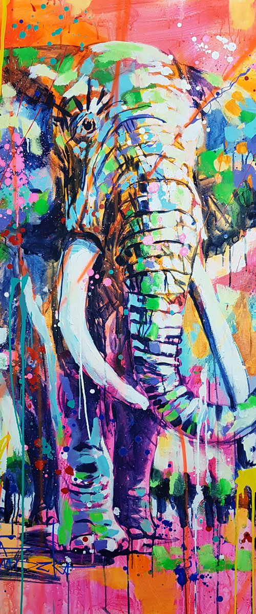 Joy of colors by Marta Zawadzka