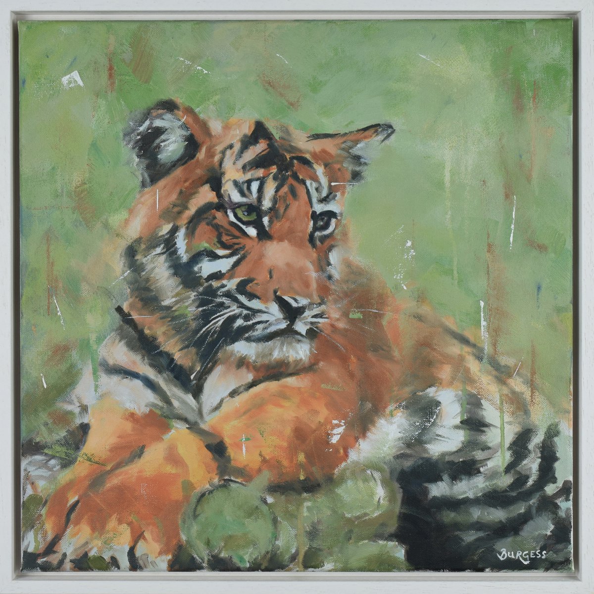 Rajah - Framed Tiger Wildlife Oil Painting On Canvas by Shaun Burgess