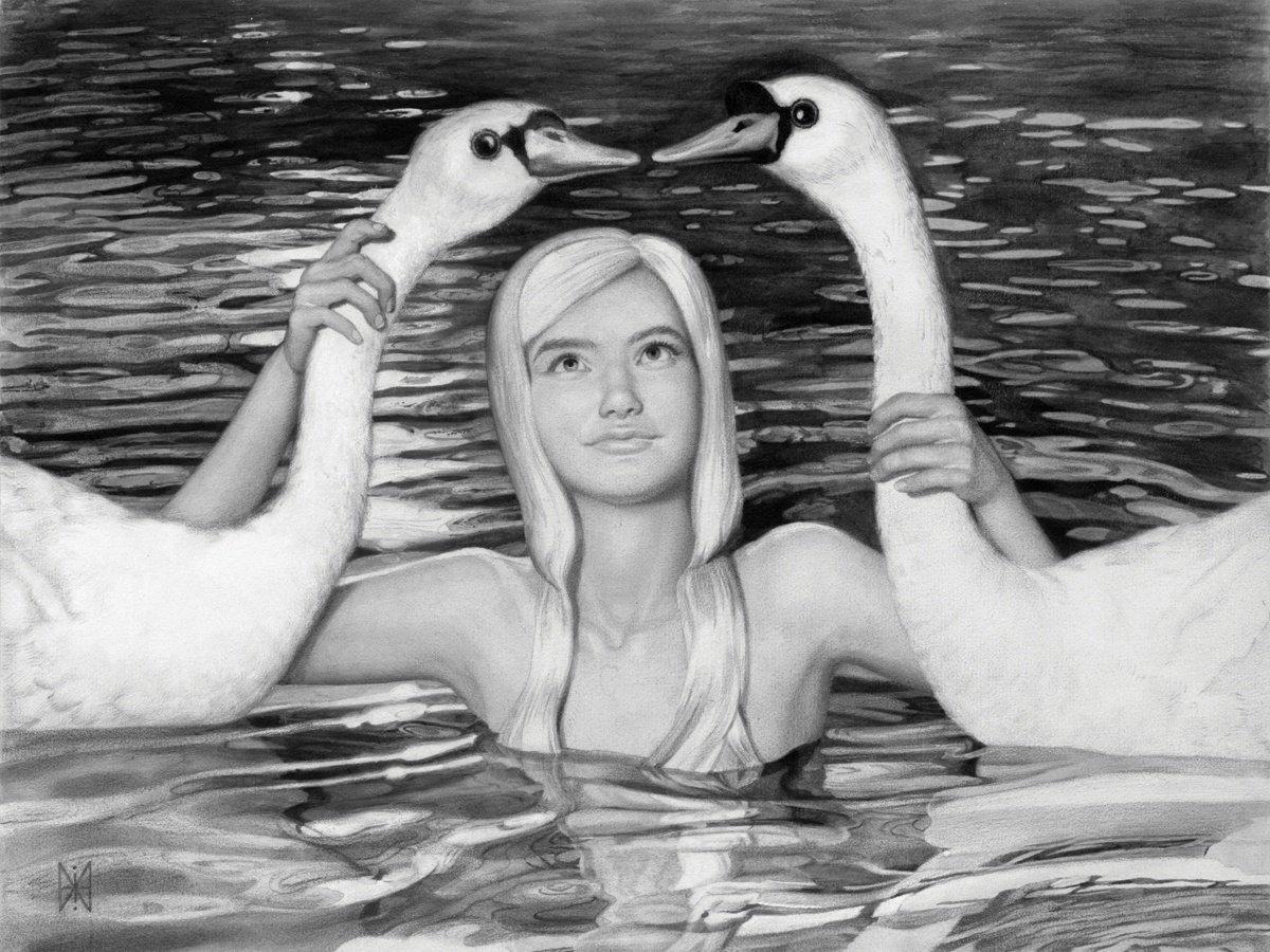 Swan love by Yuriy Matrosov
