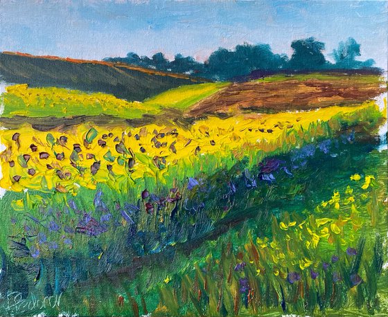 Sunflowers field. Plein air