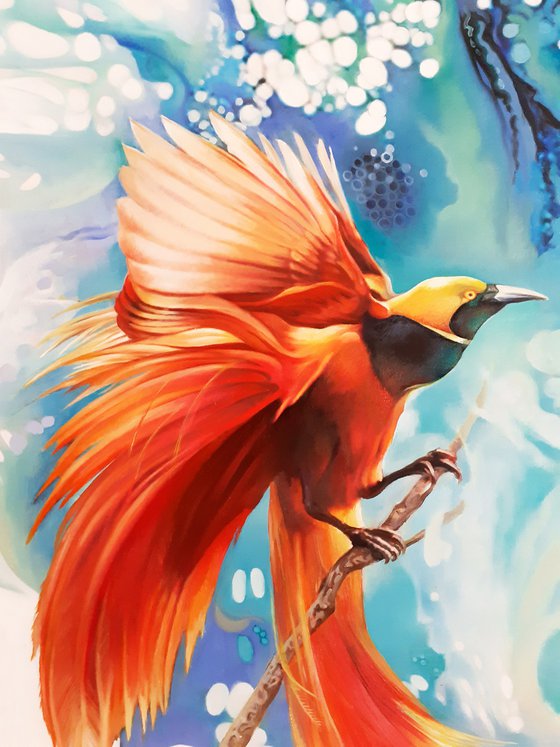 BIRDS-OF-PARADISE (diptych)