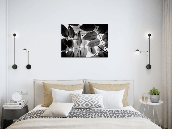 Experiments with Leaves I | Limited Edition Fine Art Print 1 of 10 | 60 x 40 cm