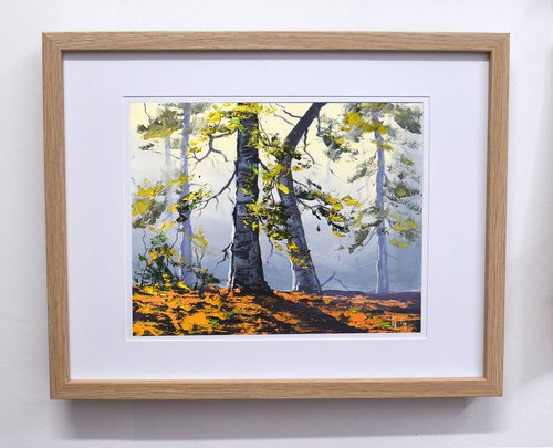Autumn Forest trees by Graham Gercken