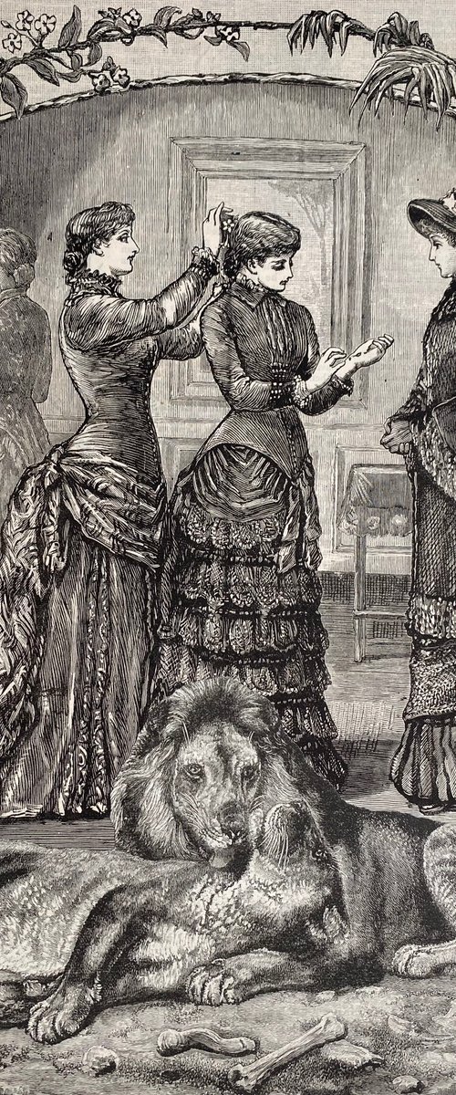 Dressing with the lions by Tudor Evans
