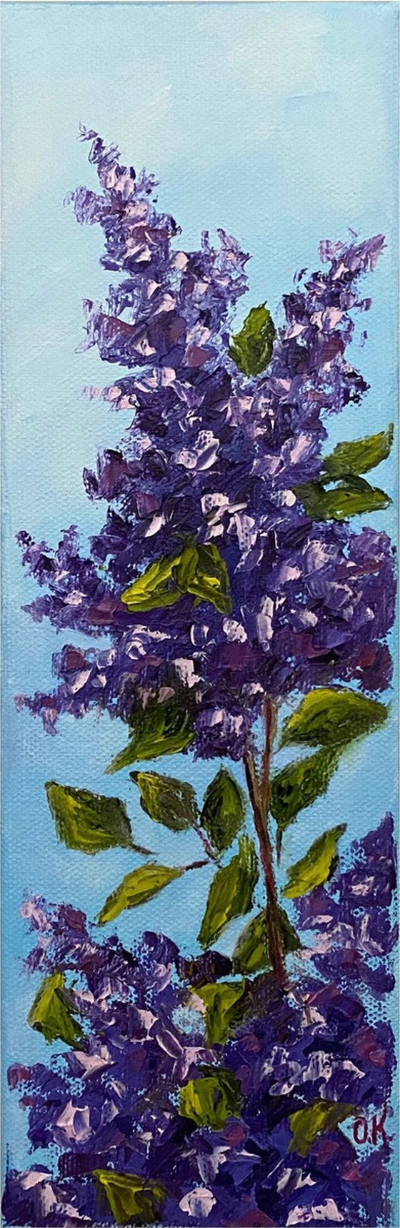 Spring lilac