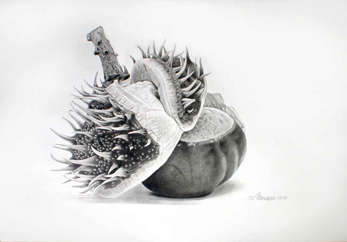 Birth of a Chestnut by Dietrich Moravec