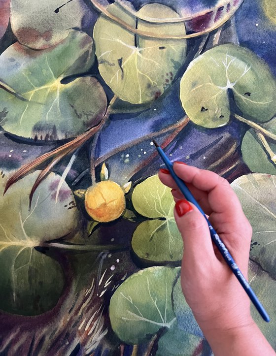 Pond with water lilies