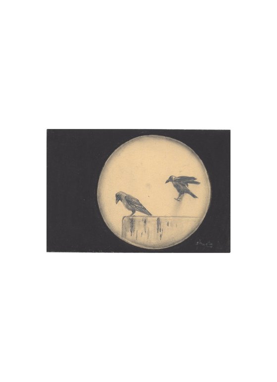 Indian House Crows Postcards