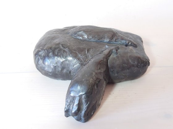 The Flow of the flock