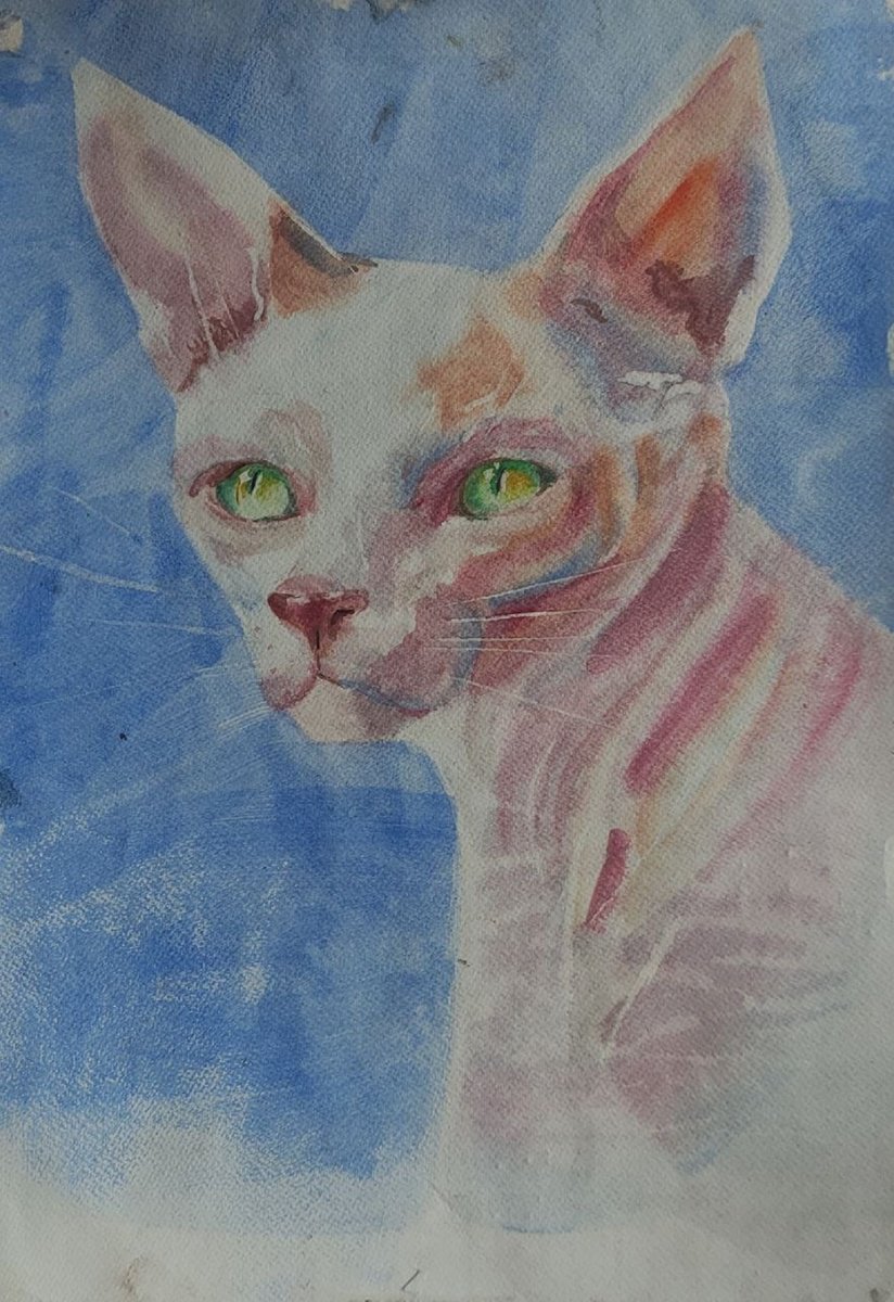 Pink Sphynx cat by VedrinaArt