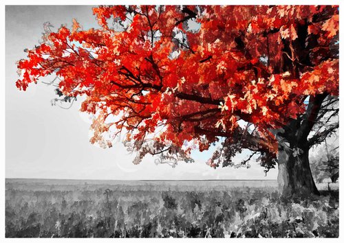The Red Tree V by Neil Hemsley