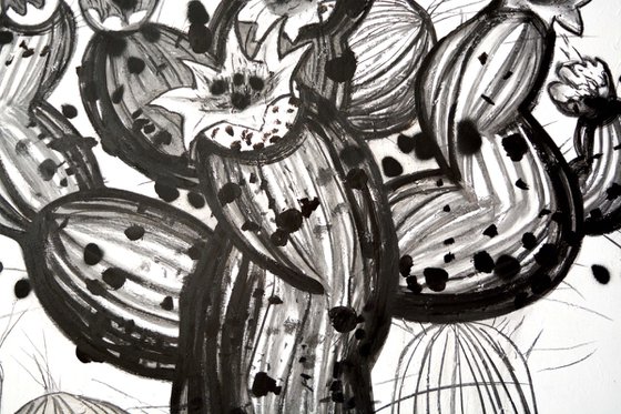 Sur Plants 1